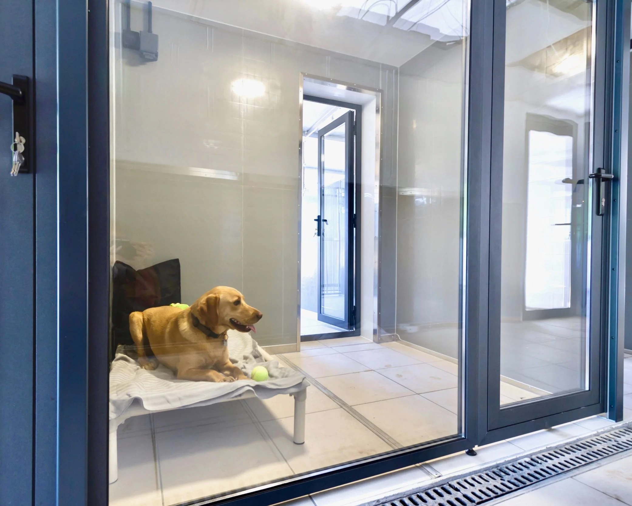 Boarding kennel near deals me